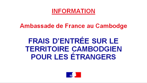 ufe-cambodge-cendy-lacroix-présidente-français-accueil-victor-remigi-ambassade-covid-expatriés.png
